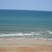 Picture 009